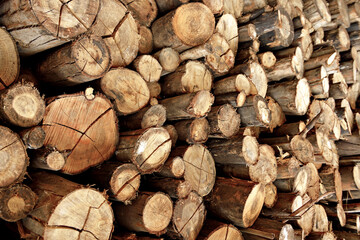 Toras de madeiras empilhadas , pilha de madeiras