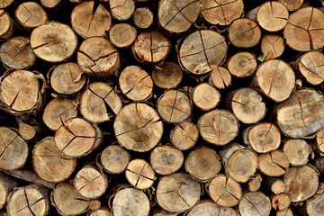 Toras de madeiras empilhadas , pilha de madeiras