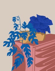 illustration in a minimalistic style.  chest of drawers with plants in pots.