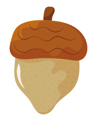 acorn nut icon