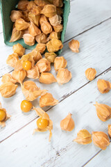 Ground Cherry Fruits