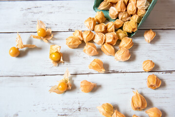 Ground Cherry Fruits