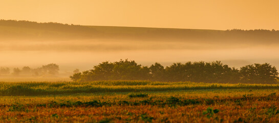 Scenic landscape view in fog during sunrise, beautiful peaceful time of the day.