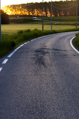 Fototapeta premium Rural road in barley cereal crop field in spring