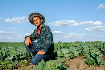 senior smile man with looking to the camera in the cabbage field on the blue sky background sunny...