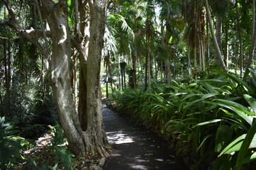 botanischer Garten Sydney