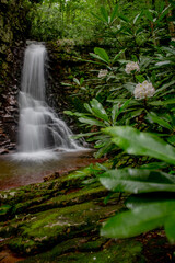 Gentry Creek Falls in Tennessee