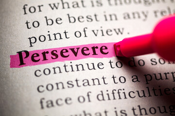 Fake Dictionary, Dictionary definition of persevere