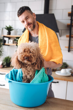 Handsome young strong man doing laundry in his house. Male doing chore at home. Concept of sharing family housework between men and women, father and mother. Cute brown pet dog