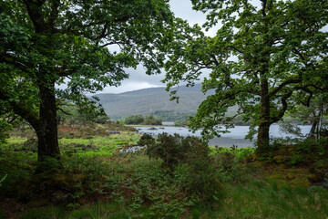 les rives vertes et arborées d'un lac en Irlande