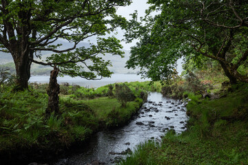 un ruisseau qui se déverse dans un lac irlandais