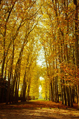 Jardins du Versailles, France