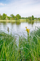 Perfect lake in the summer season with cloudy sky