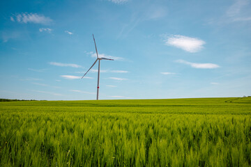 nature environment wind energy industry