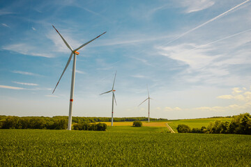 nature environment wind energy industry