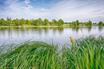 Perfect lake in the summer season with cloudy sky