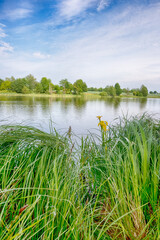 Perfect lake in the summer season with cloudy sky
