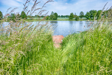 Perfect lake in the summer season with cloudy sky