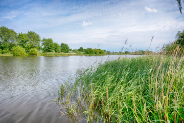 Perfect lake in the summer season with cloudy sky