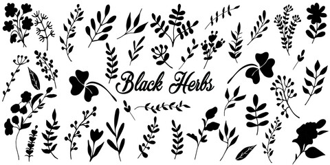 Black silhouettes of herbs. Hand drawn set of design elements isolated on white background.