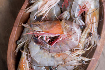 Fresh Caught Louisiana Gulf Shrimp