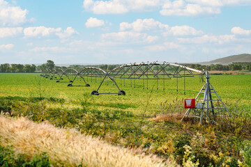 Irrigation system on agricultural field