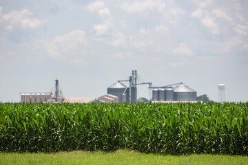 Silos in Louisiana behind a Corn Field © Jennifer