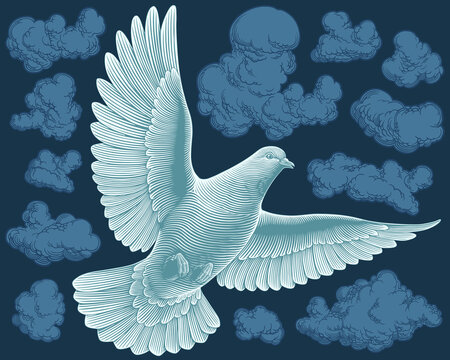 Dove among the clouds. Editable hand drawn illustration. Vector vintage engraving. 8 EPS