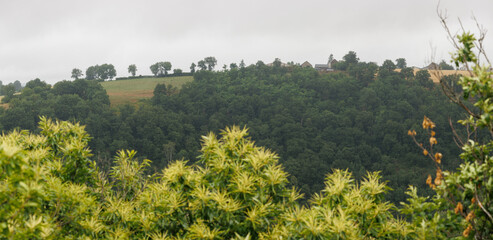 Obraz na płótnie Canvas Panoramic forest landscape in Aveyron France