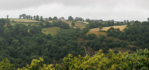 Panoramic forest landscape in Aveyron France