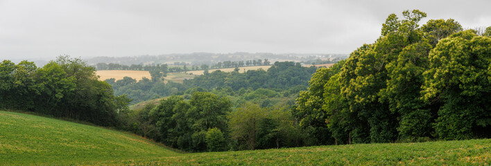 Panoramic forest landscape in Aveyron France