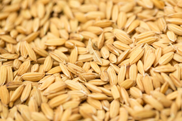 Grains of Rice Harvested in Louisiana