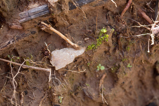 Arrowhead found in a Louisiana Field