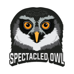Owl face vector illustration design, perfect for tshirt design and mascot logo