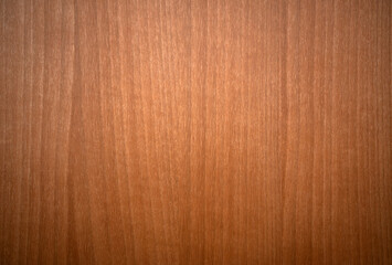 Photo of a tree texture with vertical lines.Mahogany wooden background. Orange background made of...