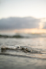 砂浜とワイングラス