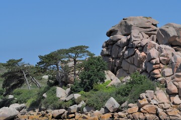 Beautiful view at Ploumanac'h in Brittany - France