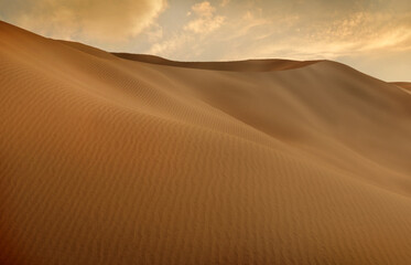 Fototapeta na wymiar Panorama of sand dunes Sahara Desert at sunset. Endless dunes of yellow sand. Desert landscape Waves sand nature