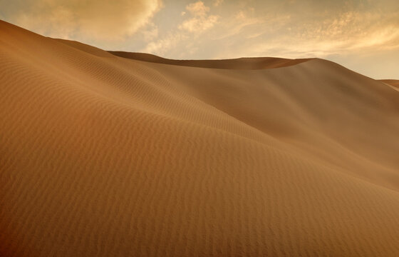 Panorama of sand dunes Sahara Desert at sunset. Endless dunes of yellow sand. Desert landscape Waves sand nature © Mikael Damkier