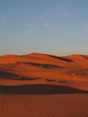 Fototapeta na wymiar Dunes du désert du Sahara au couché de soleil 