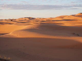 Fototapeta na wymiar vue des dunes du désert du Sahara au Maroc