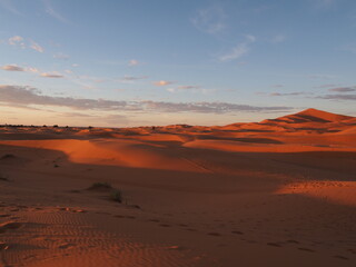 Fototapeta na wymiar vue du désert du Sahara au couché de soleil, Maroc