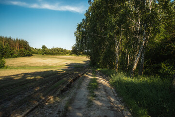 Fototapeta na wymiar Summer sunny day. Ukrainian landscape on a field of meadow grasses