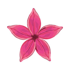 flower nature icon