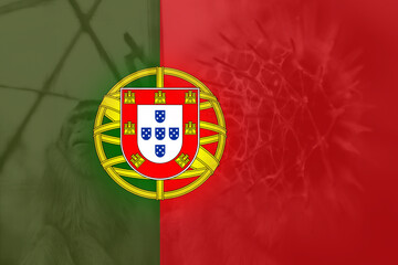 Naklejka premium Monkeypox virus. Portugal flag background. Epidemic concept. Virus transmitted to humans from animals. Monkeys may harbor virus and infect people. New pandemic. Pox. Pain. Warning. Molecular Epidemic