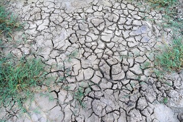 Cracked earth texture in wildlife