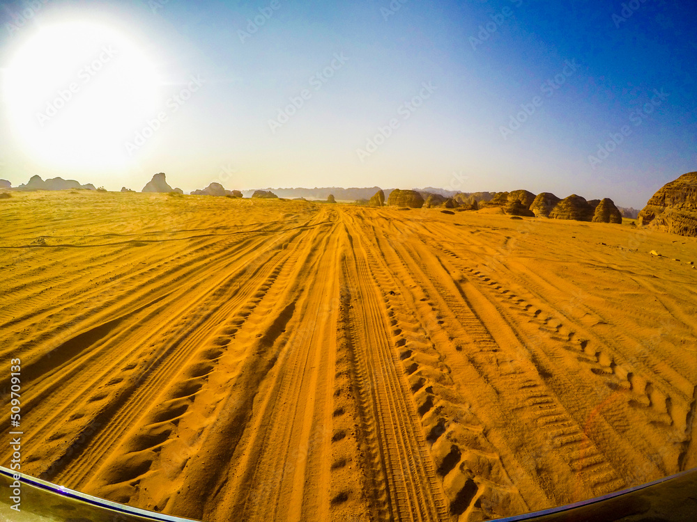 Wall mural desert tire print