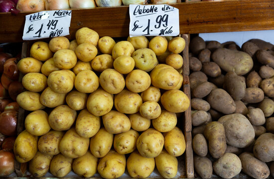 Pile of raw white potatoes on counter of local farm market with price tags in Spanish. Healthy organic foods concept..