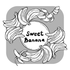 Sweet yellow banana fruit decorative frame border for product etiquette label. Vegan, bio, organic food. Design template. Hand drawn vintage monochrome illustration. Old style cartoon line drawing.