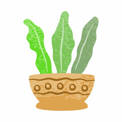 Isolated Cute aesthetic houseplant ornamental. Vector format. Flat style design.